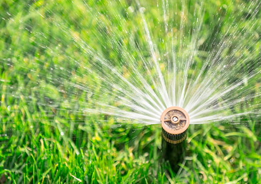 Lawn Watering