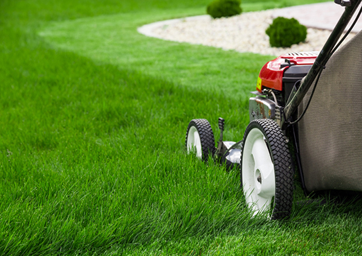 Lawn Mower