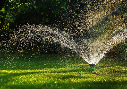 Lawn watering tips - Weed Man
