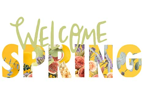 spring lawn care