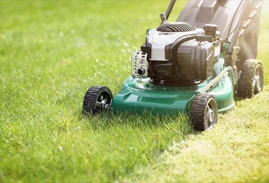 mowing the lawn
