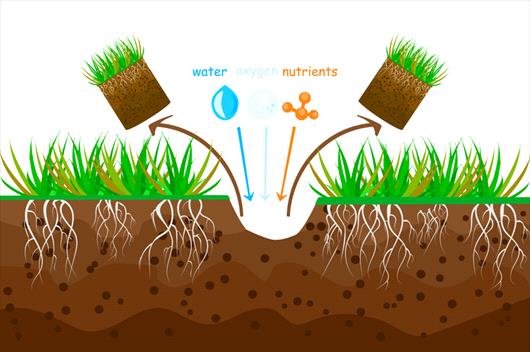 core aeration method