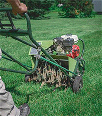 lawn care services