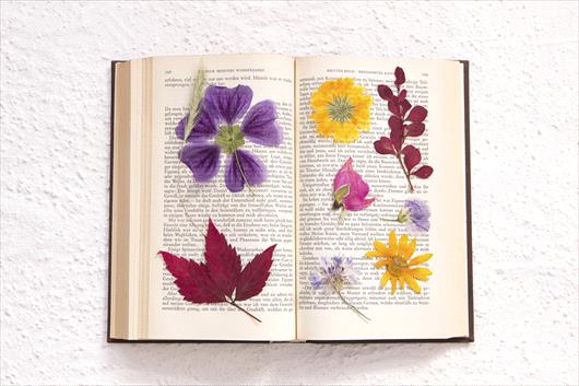 flower pressing