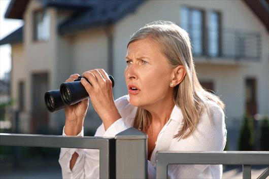neighbour peaking at other neighbours lawns